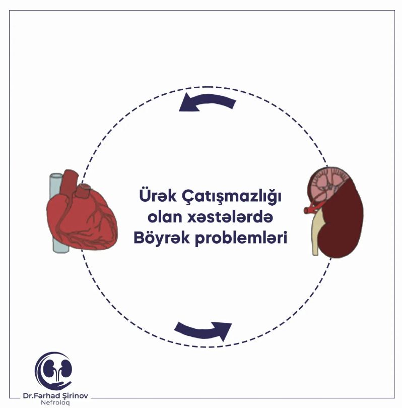 Ürək çatışmazlığı olan xəstələrdə böyrək xəstəliyi