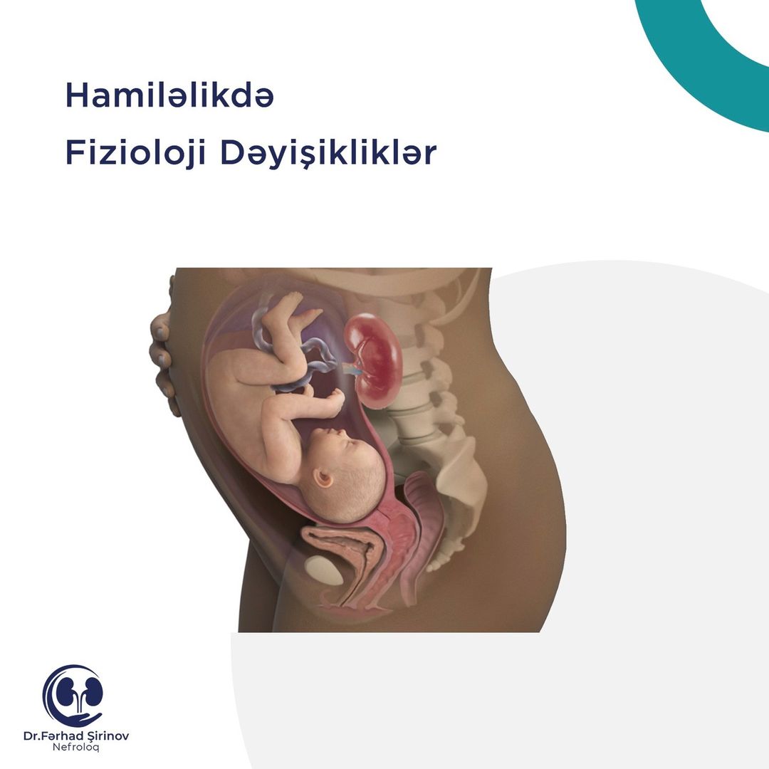 Hamiləlikdə fizeoloji dəyişikliklər